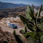 wrc-–-2020-fia-world-rally-championship-rally-mexico-–-preview